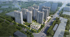 发面积达2000万方